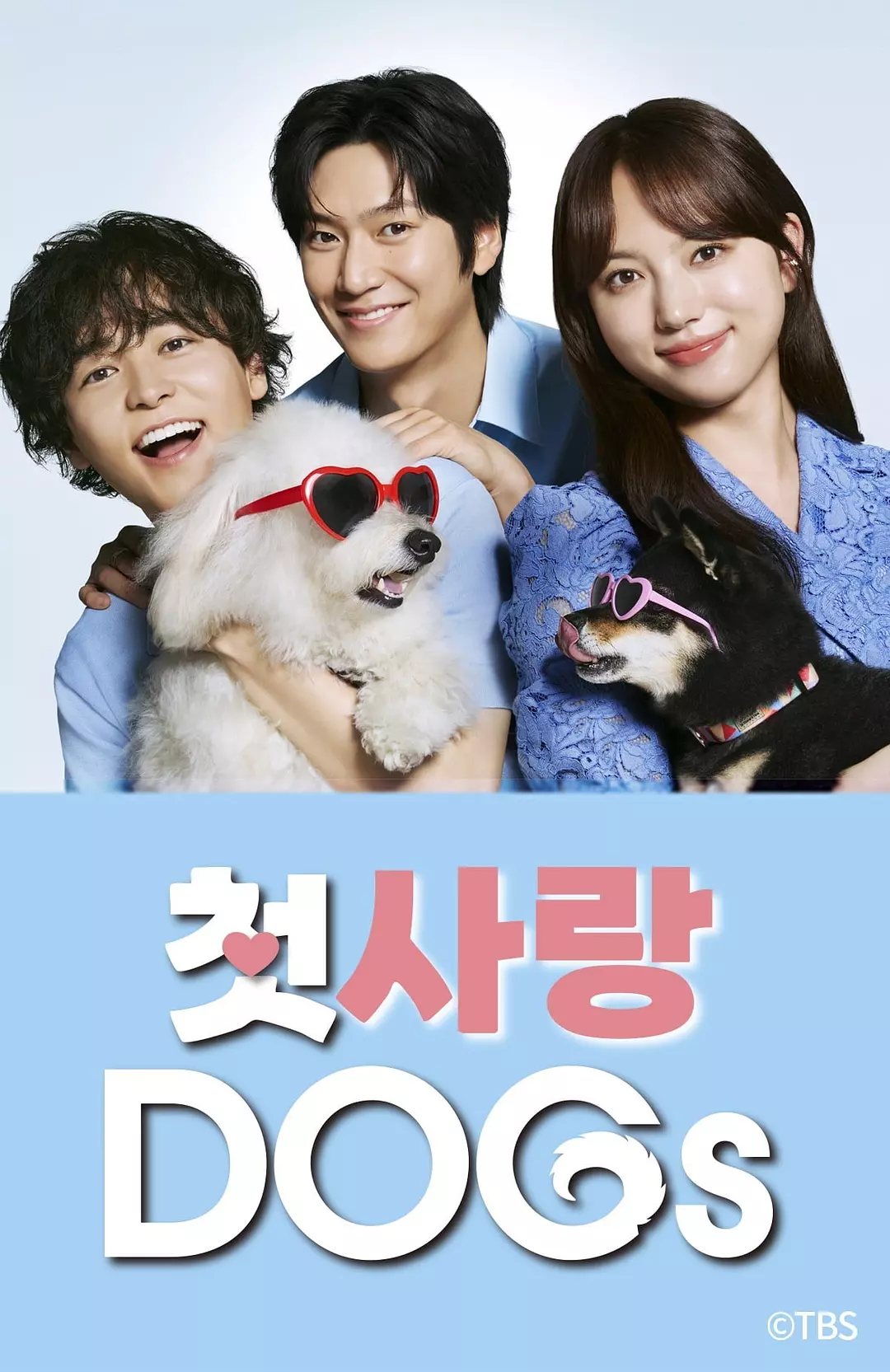 《初恋DOGs》全集在线观看与下载推荐（2025最新）