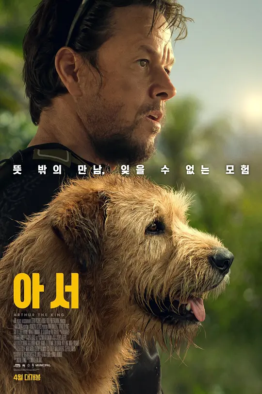冠军亚瑟（Arthur the King，2024）高清在线播放｜剧情冒险电影完整版