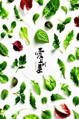 《爱上川菜》免费在线播放｜纪录片美食文化之旅