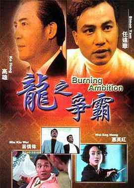 《龙之争霸》免费在线播放｜动作,犯罪·中国香港