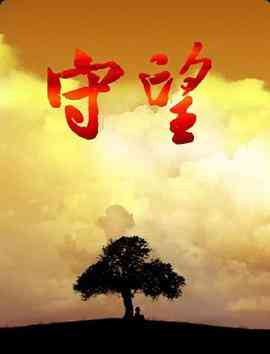 《守望 2008》免费在线播放｜内地,国产·中国大陆