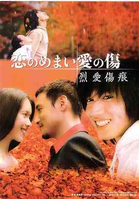 《烈爱伤痕》免费在线播放｜剧情,爱情,香港剧,港澳·中国香港  第1张