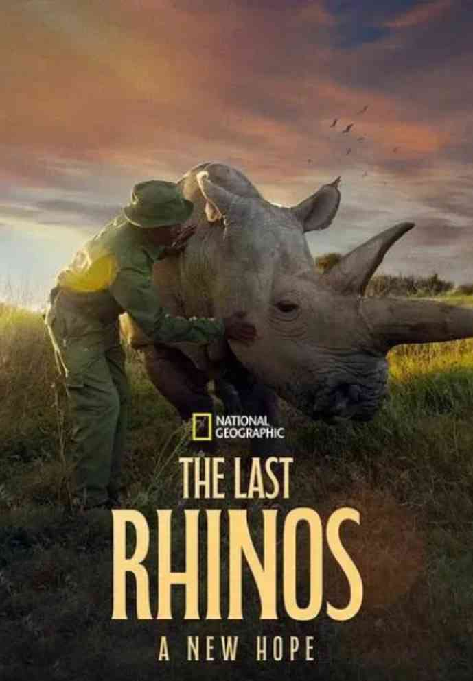 《最后的犀牛：新希望》免费在线播放｜纪录片·美国