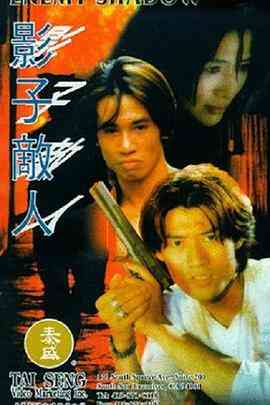 《影子敌人（国语版）》免费在线播放｜动作,惊悚·中国香港