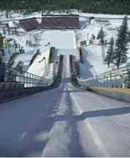 ​冬季运动会（英文硬盘版）下载｜体育竞赛体验