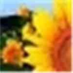 《向日葵排课软件官方版》免费下载|学习工具·v3.9.5