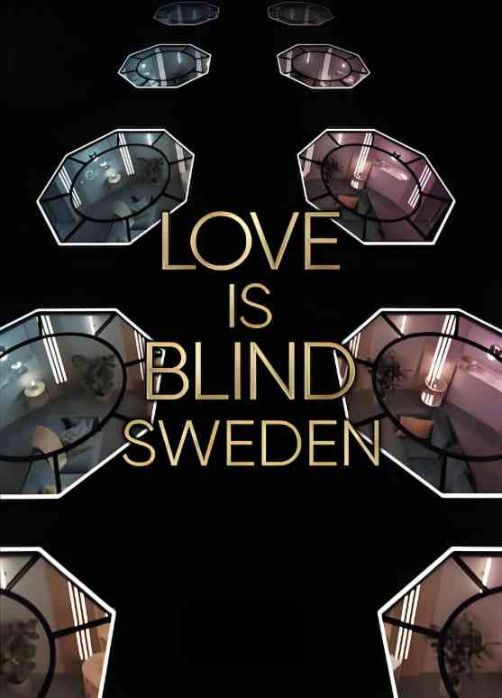 《爱情盲选：瑞典篇 第二季》免费高清无广告在线播放|游戏节目,真人秀,浪漫·瑞典·2024