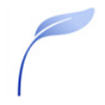 《写作天下4.5.0》免费下载|学习工具·4.5.0