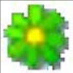 《中医中药处方大全1.01》免费下载|系统工具·1.01