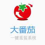 《大番茄一键重装系统》官方版》免费下载|系统工具·2.1.6.413