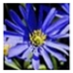 《Visual SlideShow v1.7》免费下载|系统工具·1.7