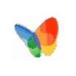 《Gamma Panel小蝴蝶》免费下载|系统工具·1.0.0.20