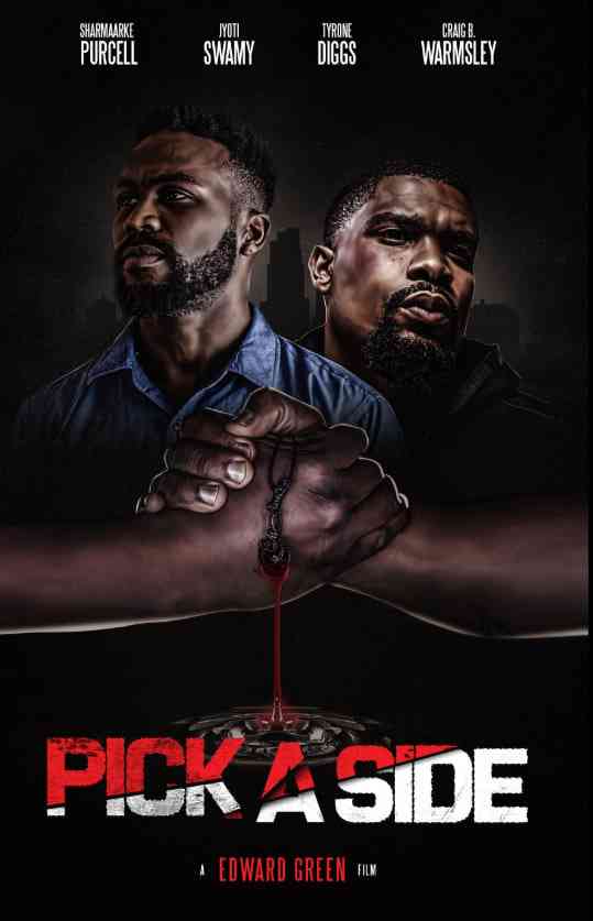 《选择一方》免费高清无广告在线播放|行动,戏剧·美国·2021