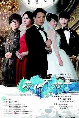 《爱你不放手》免费高清无广告在线播放|剧情·中国大陆·2015