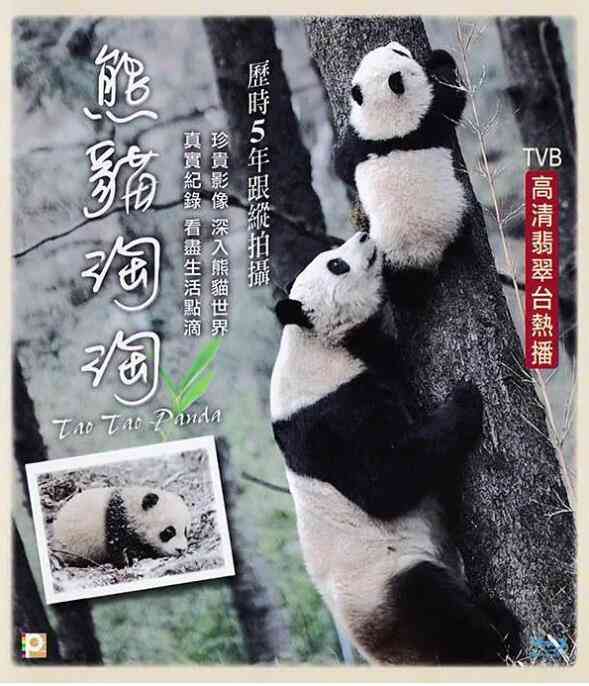 《熊猫淘淘》免费高清无广告在线播放|纪录片,纪录·中国大陆·2014