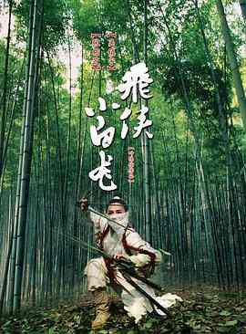 《飞侠小白龙》免费高清无广告在线播放|动作·香港·2004