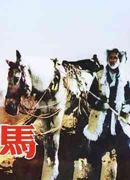 《马 1956》免费高清无广告在线播放|剧情·中国大陆·1956
