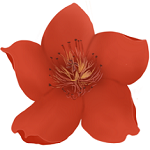 《小红花音效助手免费最新版》免费下载|影音播放·11.4.3.0