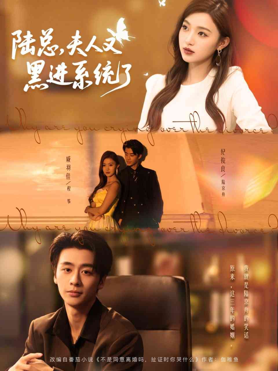 《陆总夫人又黑进系统了》免费高清无广告在线播放|短剧·中国大陆·2025