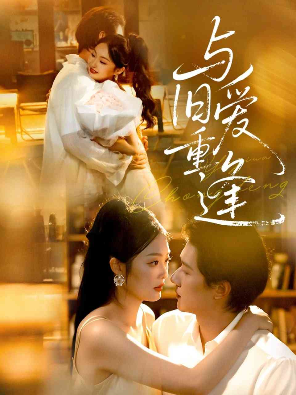 《与旧爱重逢》免费高清无广告在线播放|短剧·中国大陆·2025