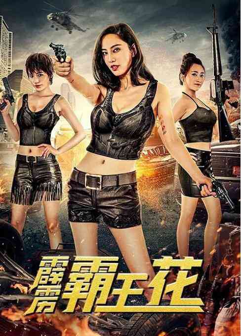 《霹雳霸王花》免费高清无广告在线播放|喜剧,犯罪·中国大陆·2020