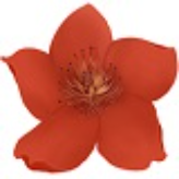 《小红花直播音效助手官方版》免费下载|影音播放·13.3.1.0