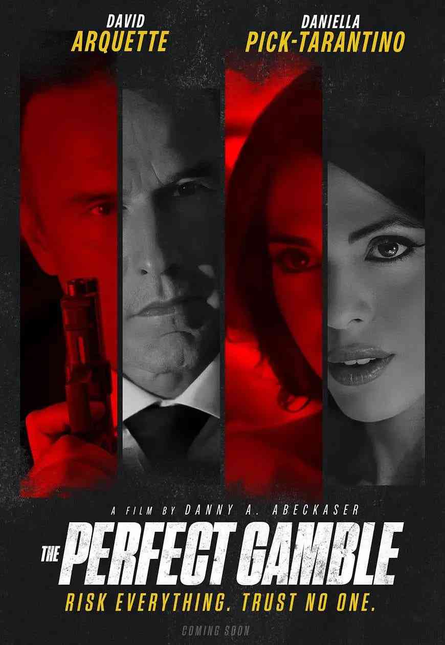 《完美赌局》最新免费高清电影无广告在线播放|剧情,犯罪·美国·2025  第1张