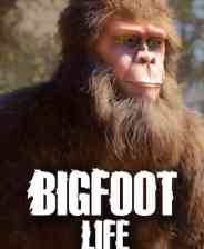 《Bigfoot Life》电脑版》游戏免费下载|冒险游戏·自然·探索·休闲·冒险  第1张