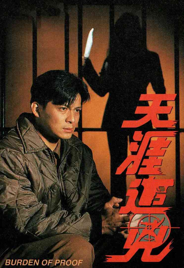 《天涯追凶》最新免费高清电影无广告在线播放|动作·中国香港·1994  第1张