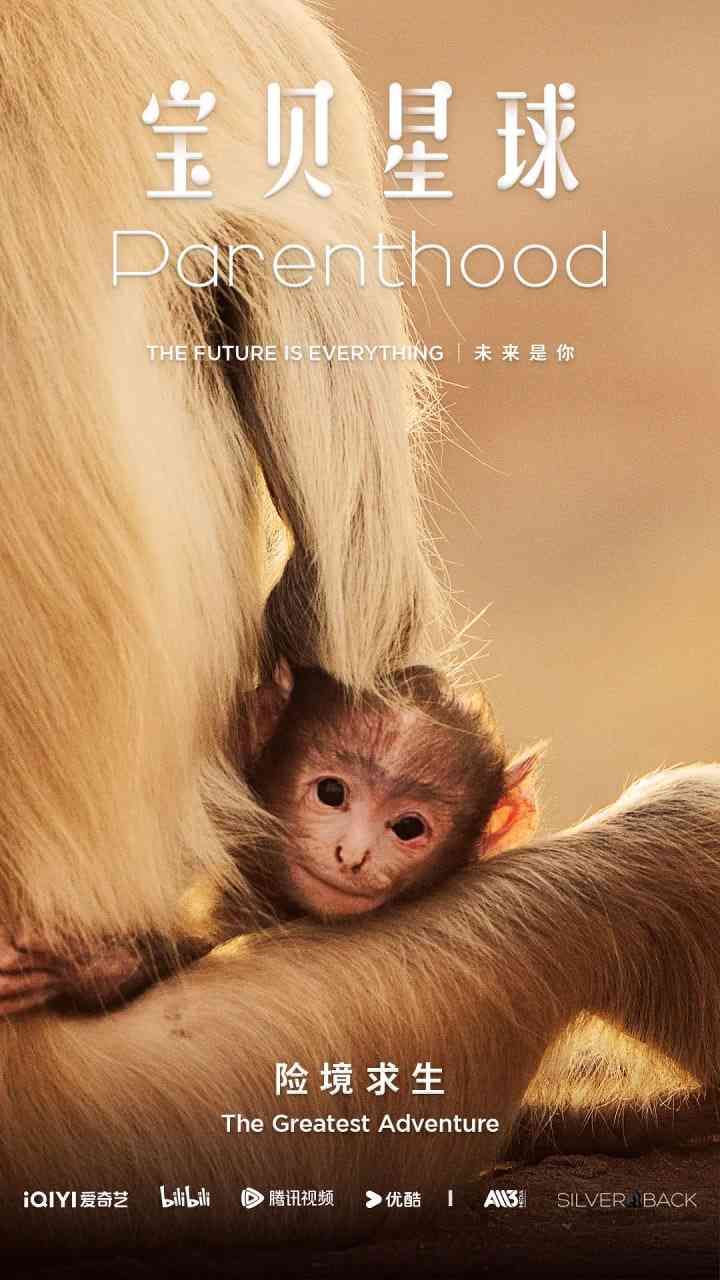 《宝贝星球》最新免费高清电影无广告在线播放|纪录片·英国·2025  第1张