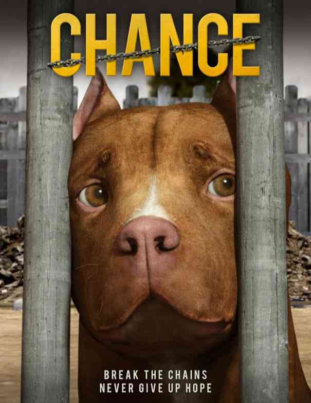 《机会》最新免费高清电影无广告在线播放|动画·美国·2021  第1张