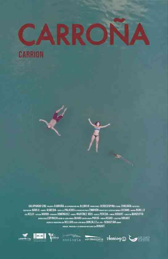 《腐肉》最新免费高清电影无广告在线播放|戏剧·墨西哥·2016  第1张