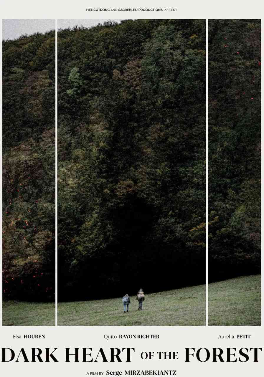 《森林的黑暗心脏》最新免费高清电影无广告在线播放|剧情·比利时,法国·2021  第1张