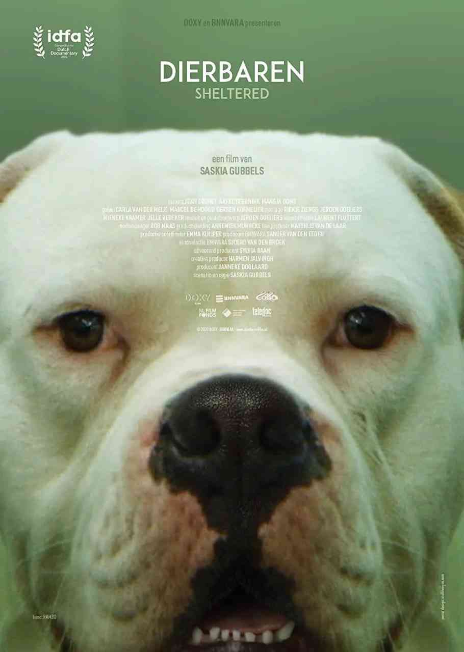 《动物之家》最新免费高清电影无广告在线播放|纪录片·荷兰·2020  第1张