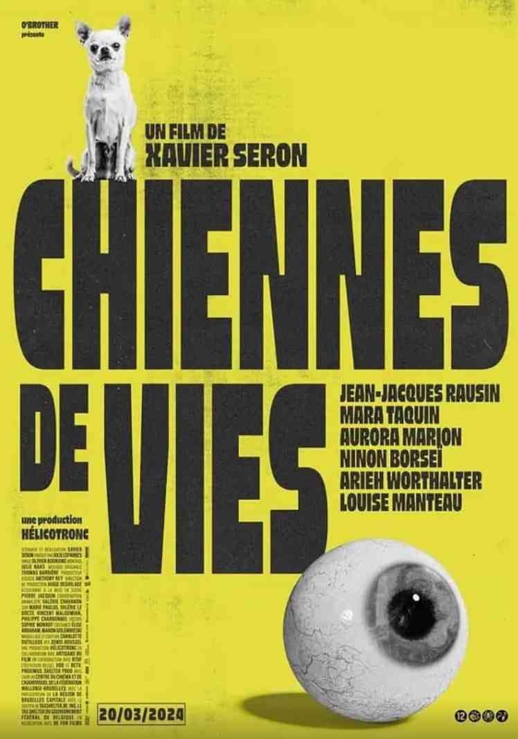 《狗生》最新免费高清电影无广告在线播放|剧情·比利时,法国·2025  第1张