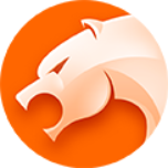 《猎豹安全浏览器免费版》软件免费下载|网络工具·9.0.112  第1张