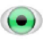 《LEELA围棋软件v0.11.0》软件免费下载|网络工具·0.11.0  第1张