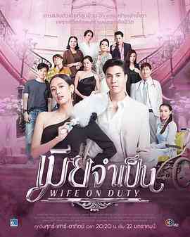 《非婚不可 普通话版》全集免费高清电视剧无广告在线播放|爱情,马泰剧,泰剧·泰国·2021  第1张