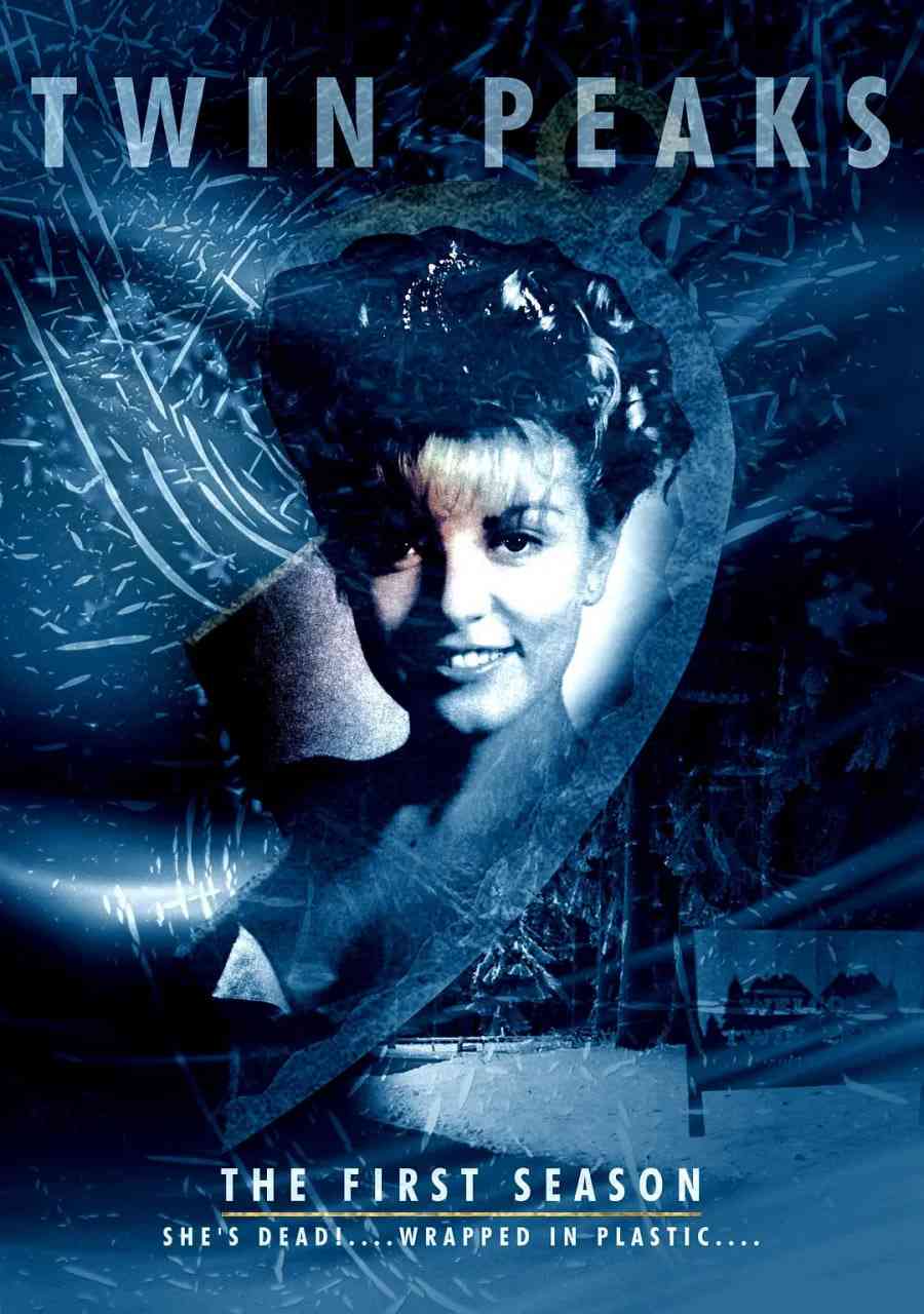 《双峰 第一季》全集免费高清电视剧无广告在线播放|剧情,科幻,悬疑,惊悚,犯罪·美国·1990  第1张