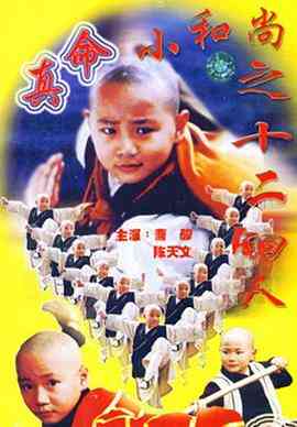 《真命小和尚之十二铜人》全集免费高清电视剧无广告在线播放|剧情·中国大陆 / 新加坡·1997  第1张