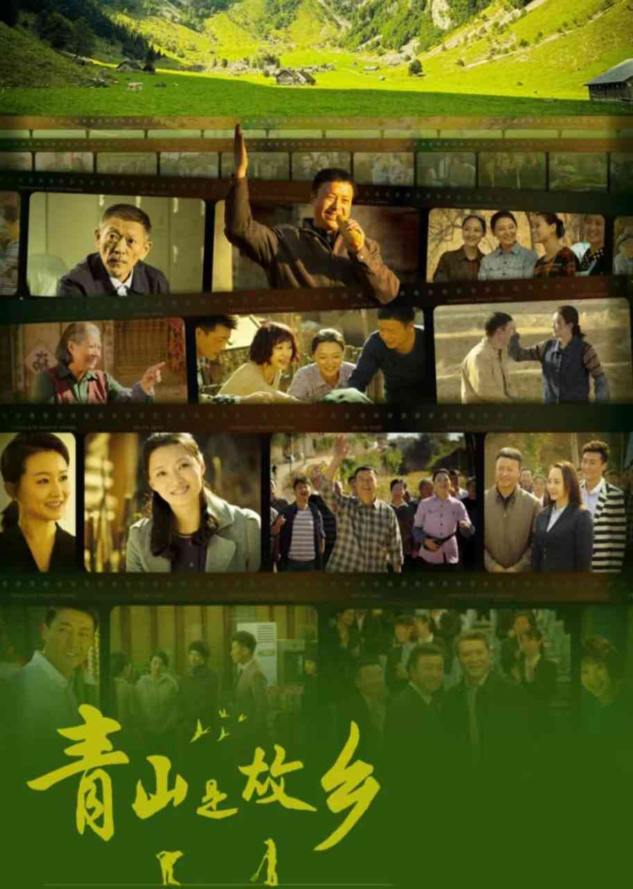 《青山是故乡》全集免费高清电视剧无广告在线播放|剧情·中国大陆·2025  第1张
