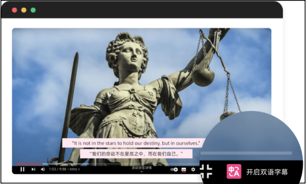 《沉浸式翻译免费版》软件免费下载|系统工具·1.24.6  第2张