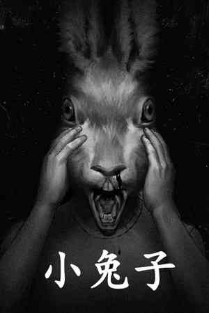 《小兔子》简体中文免安装版》游戏免费下载|冒险游戏·恐怖·暴力·互动小说·可爱  第1张