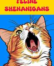 《猫咪恶作剧》英文免安装版》游戏免费下载|冒险游戏·卡通·街机·猫  第1张