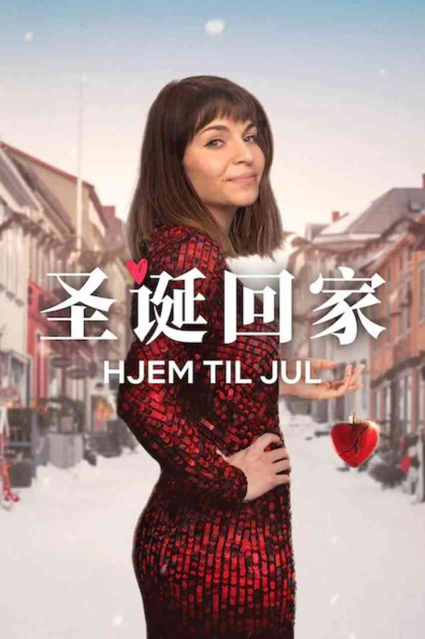 《圣诞寻伴 第3季》全集免费高清电视剧无广告在线播放|剧情·挪威·2025  第1张