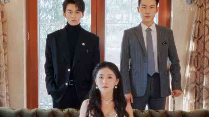 《不要招惹舒小姐》全集免费高清短剧无广告在线播放|短剧·中国大陆·2024  第1张