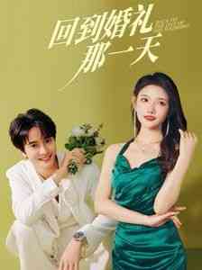 《回到婚礼那一天》全集免费高清短剧无广告在线播放|短剧·中国大陆·2024  第1张