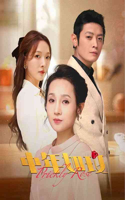 《中年如玫》全集免费高清短剧无广告在线播放|短剧·中国大陆·2024  第1张