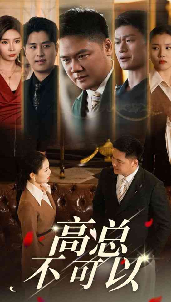 《高总不可以》全集免费高清短剧无广告在线播放|短剧·中国大陆·2024  第1张