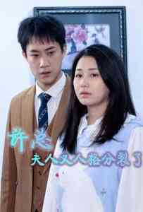 《许总，夫人又人格分裂了》全集免费高清短剧无广告在线播放|短剧·中国大陆·2024  第1张